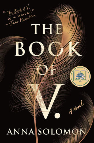 The book of V.: a novel