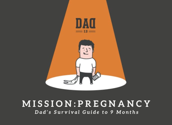 Mission: Pregnancy - Dad's Survival Guide to 9 Months
