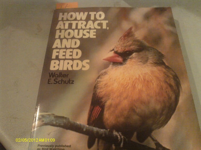 How to attract, house and feed birds