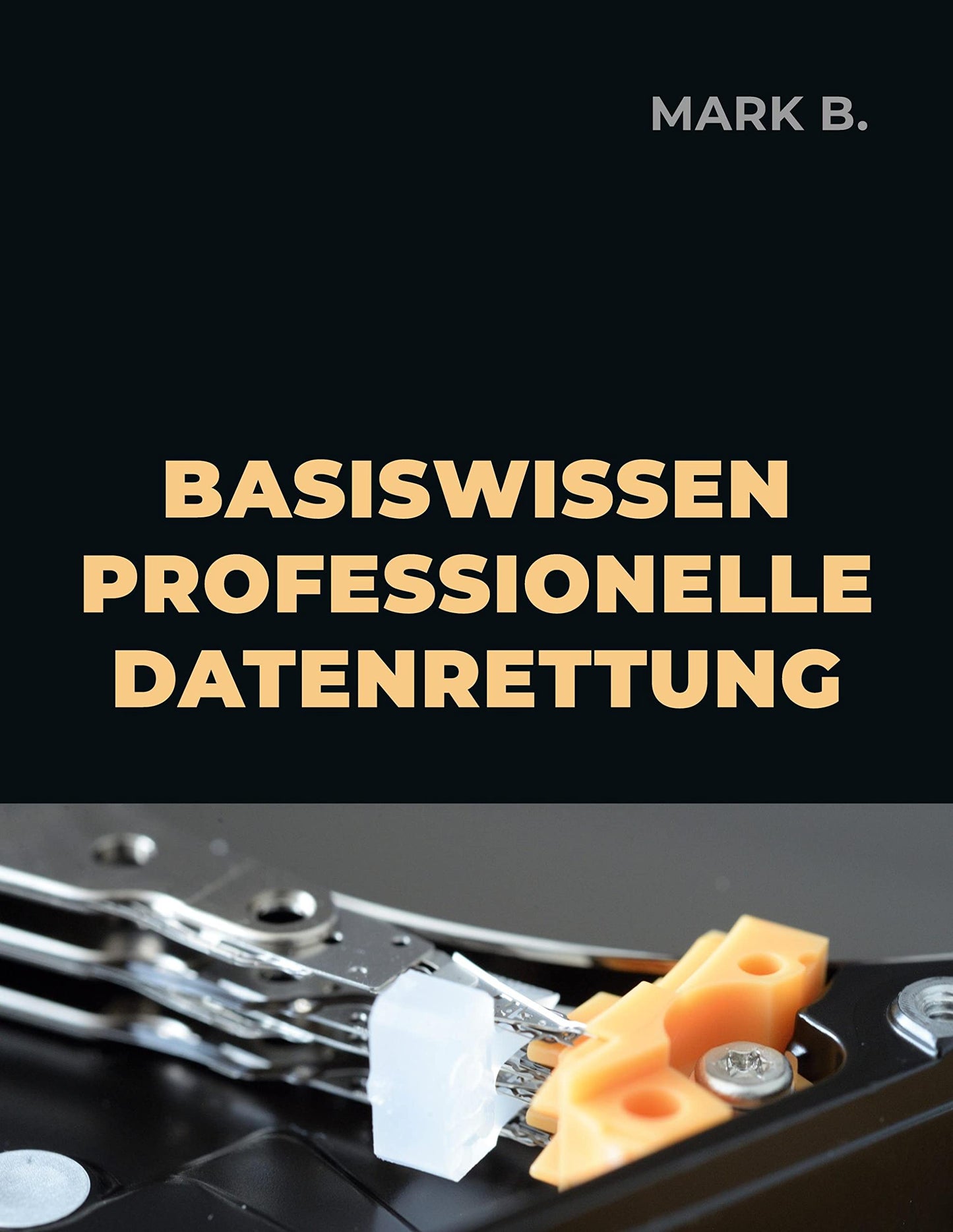 Basiswissen professionelle Datenrettung (German Edition)