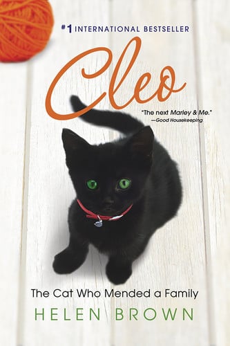 Cleo: the cat who mended a family