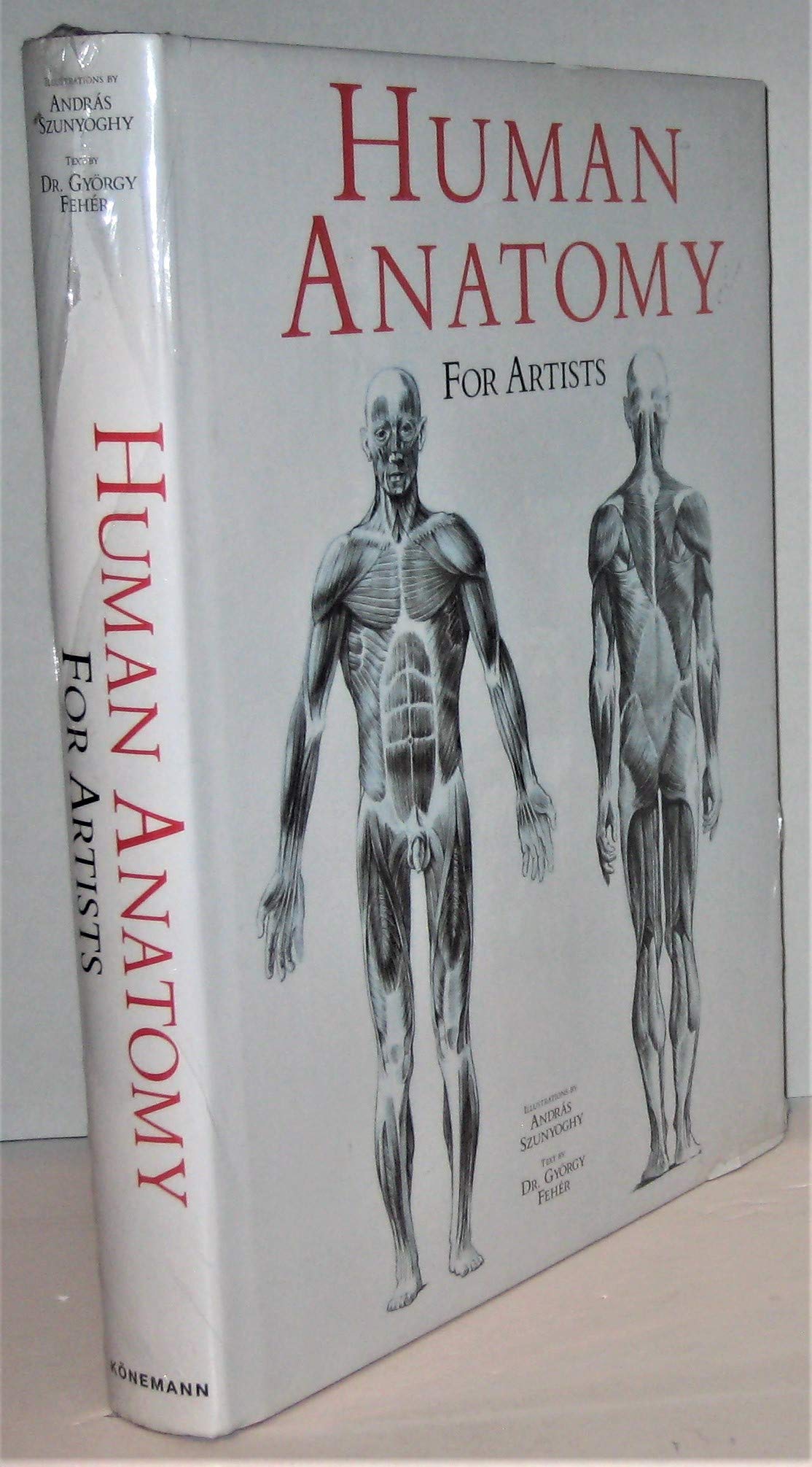 Human Anatomy for Artists