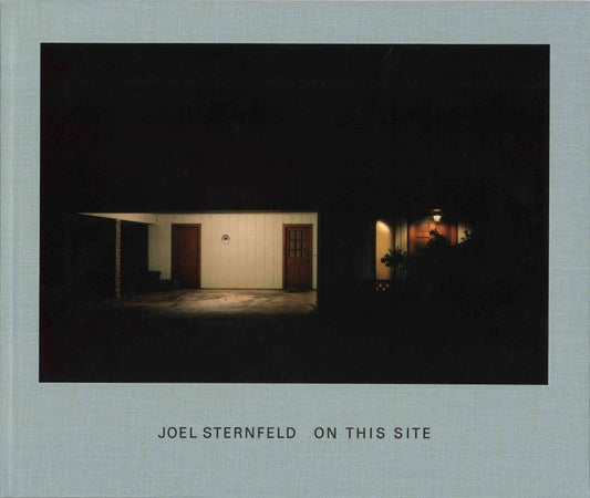 Joel Sternfeld: Walking the High Line