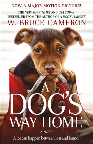 A dog's way home