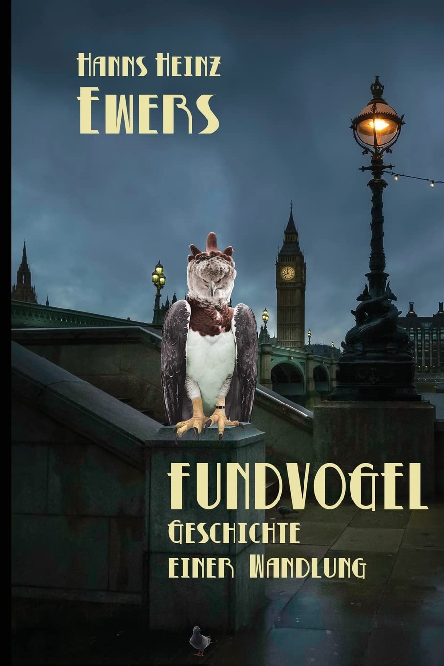 Fundvogel: Geschichte einer Wandlung (German Edition)