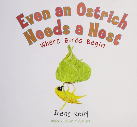Even an Ostrich Needs a Nest Where Birds Begin