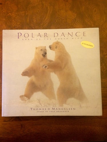 Polar dance: born of the north wind