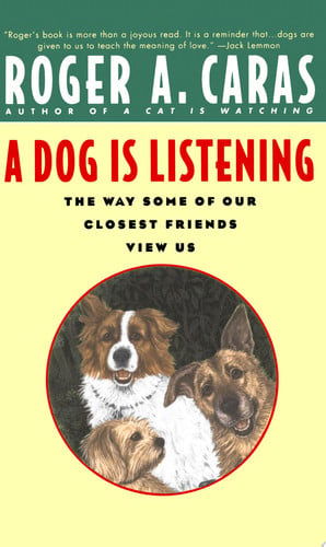 A Dog Is Listening The Way Some of Our Closest Friends View Us