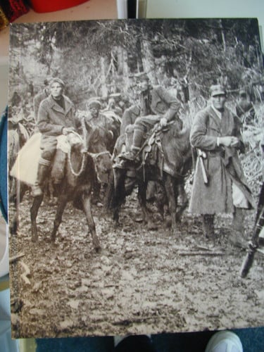 Partisans and Guerrillas (World War II Series)