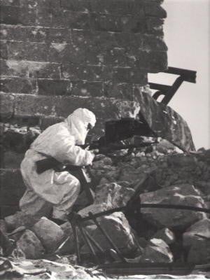 Red Army Resurgent (World War II Series)