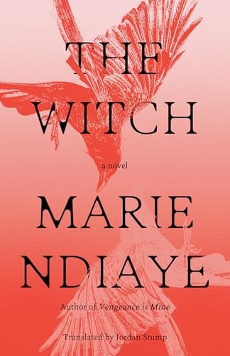 The witch: a novel