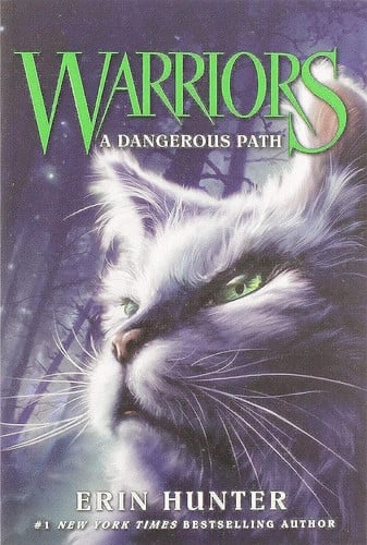 A dangerous path