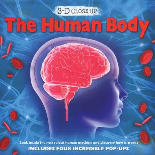 The Human Body