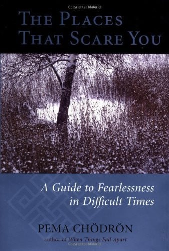 The places that scare you: a guide to fearlessness in difficult times