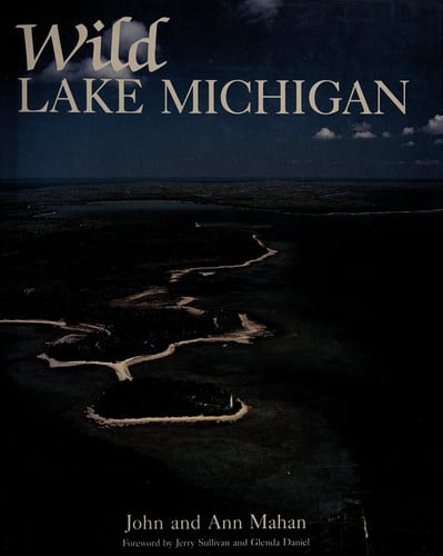 Wild Lake Michigan