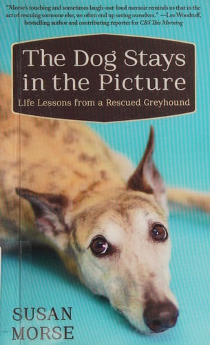 The Dog Stays in the Picture How My Rescued Greyhound Helped Me Cope with My Empty Nest