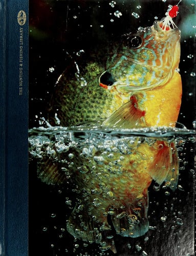 Panfish