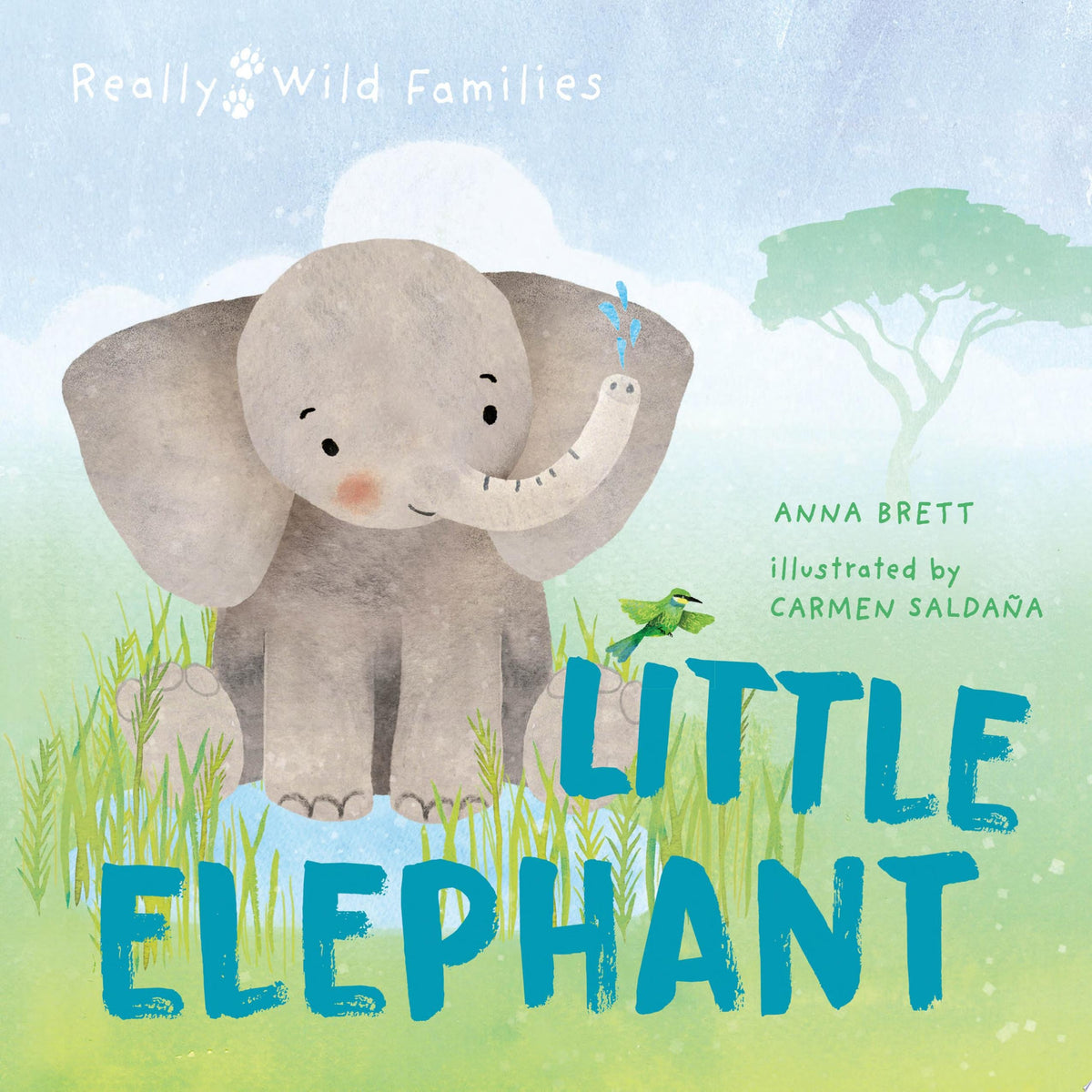 Little Elephant A Day in the Life of a Elephant Calf
