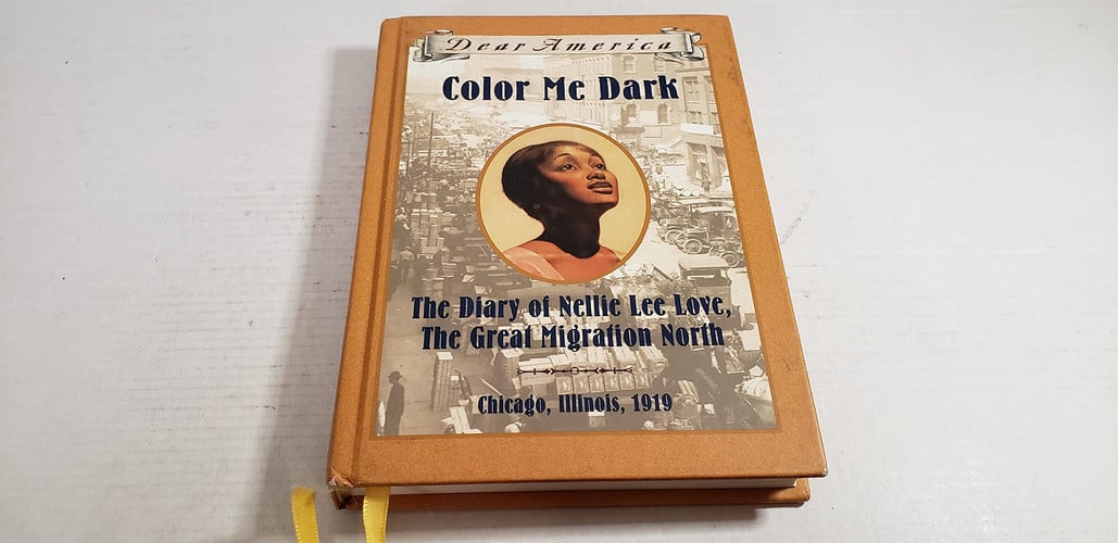 Color Me Dark The Diary of Nellie Lee Love, the Great Migration North