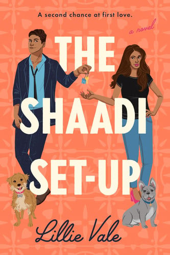 The Shaadi set-up: a novel