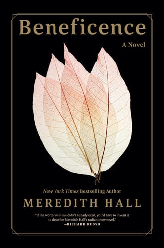 Beneficence: a novel