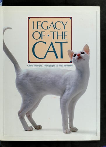 Legacy of the cat