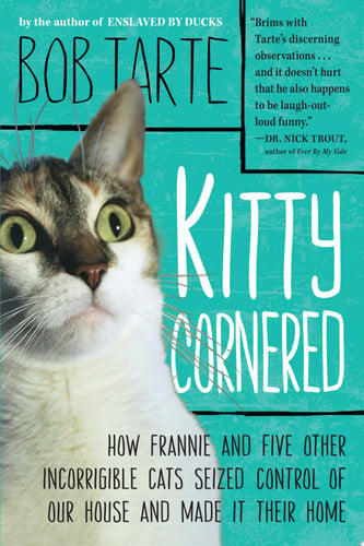 Kitty cornered: how Frannie and five other incorrigible cats seized control of our house and made it their home