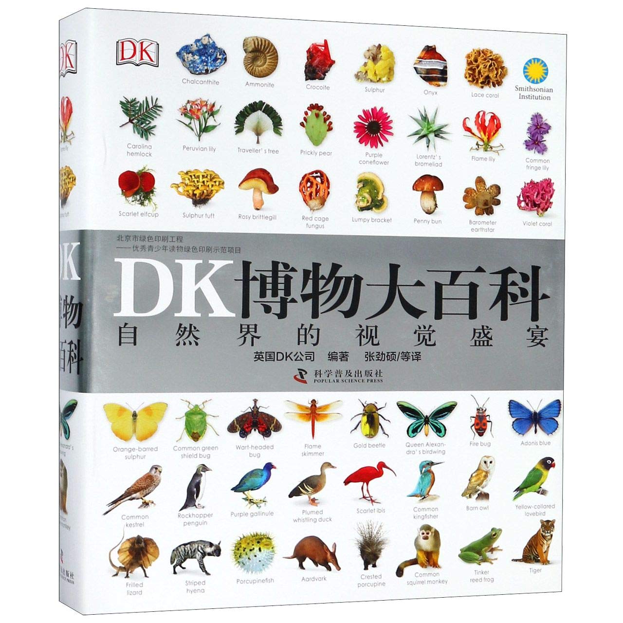 DK博物大百科(精)