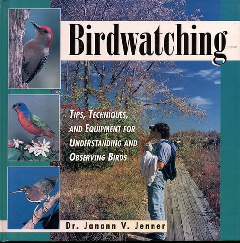 Birdwatching: tips, techniques, and equipment for understanding and observing birds