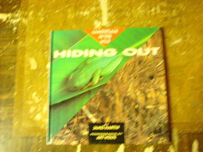 Hiding out: camouflage in the wild