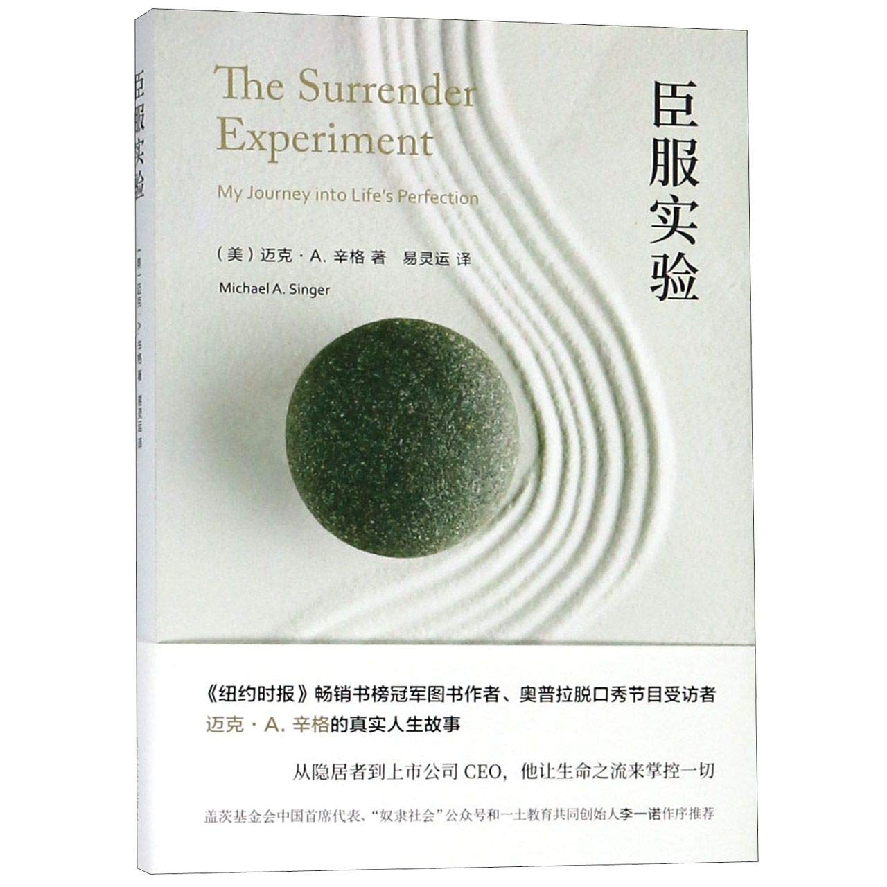 The Surrender Experiment:My Journey into Life's Perfection (Chinese Edition) - 6360