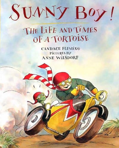 Sunny Boy! the life and times of a tortoise