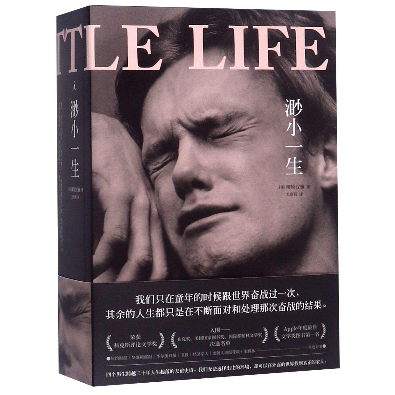 A Little Life (Chinese Edition)