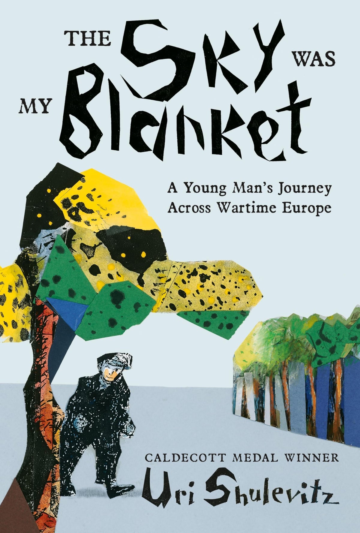 The Sky Was My Blanket A Young Man's Journey Across Wartime Europe