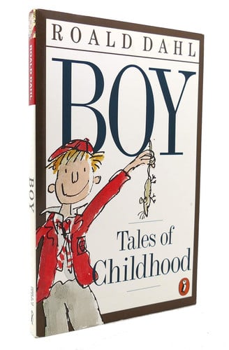 Boy Tales of Childhood
