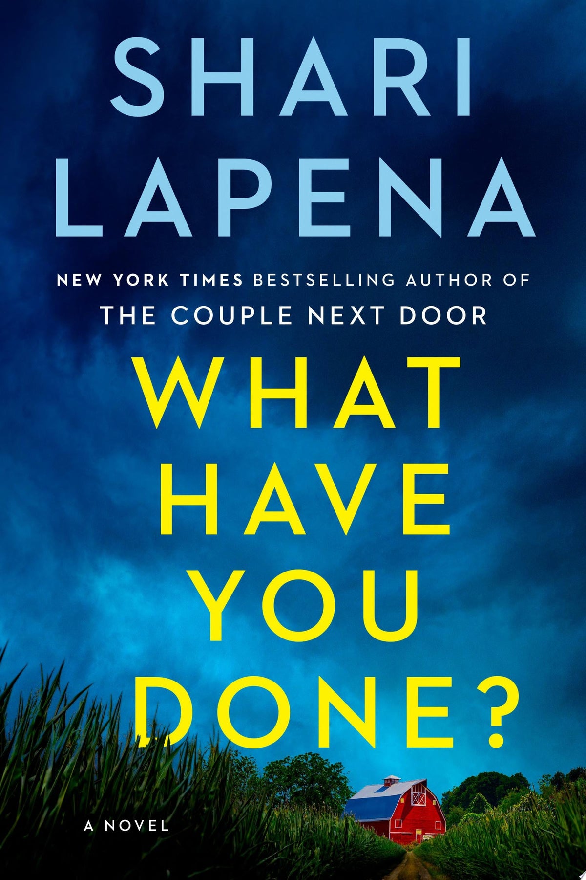 What Have You Done? A Novel