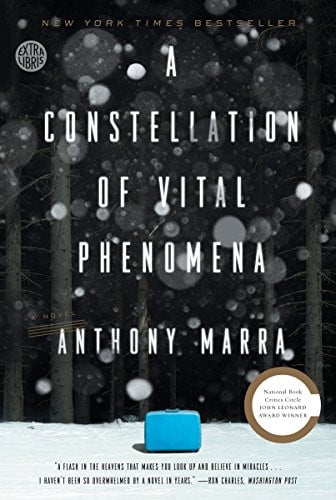 A constellation of vital phenomena: a novel