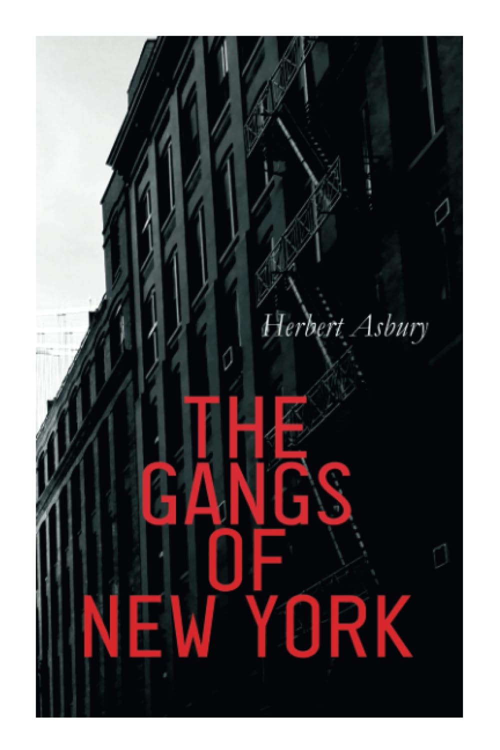 The Gangs of New York: Informal History of the Underworld