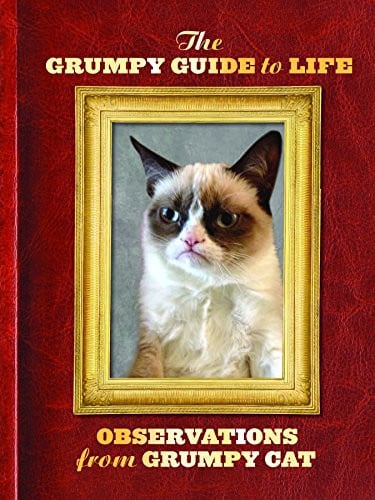 The grumpy guide to life: observations from Grumpy Cat