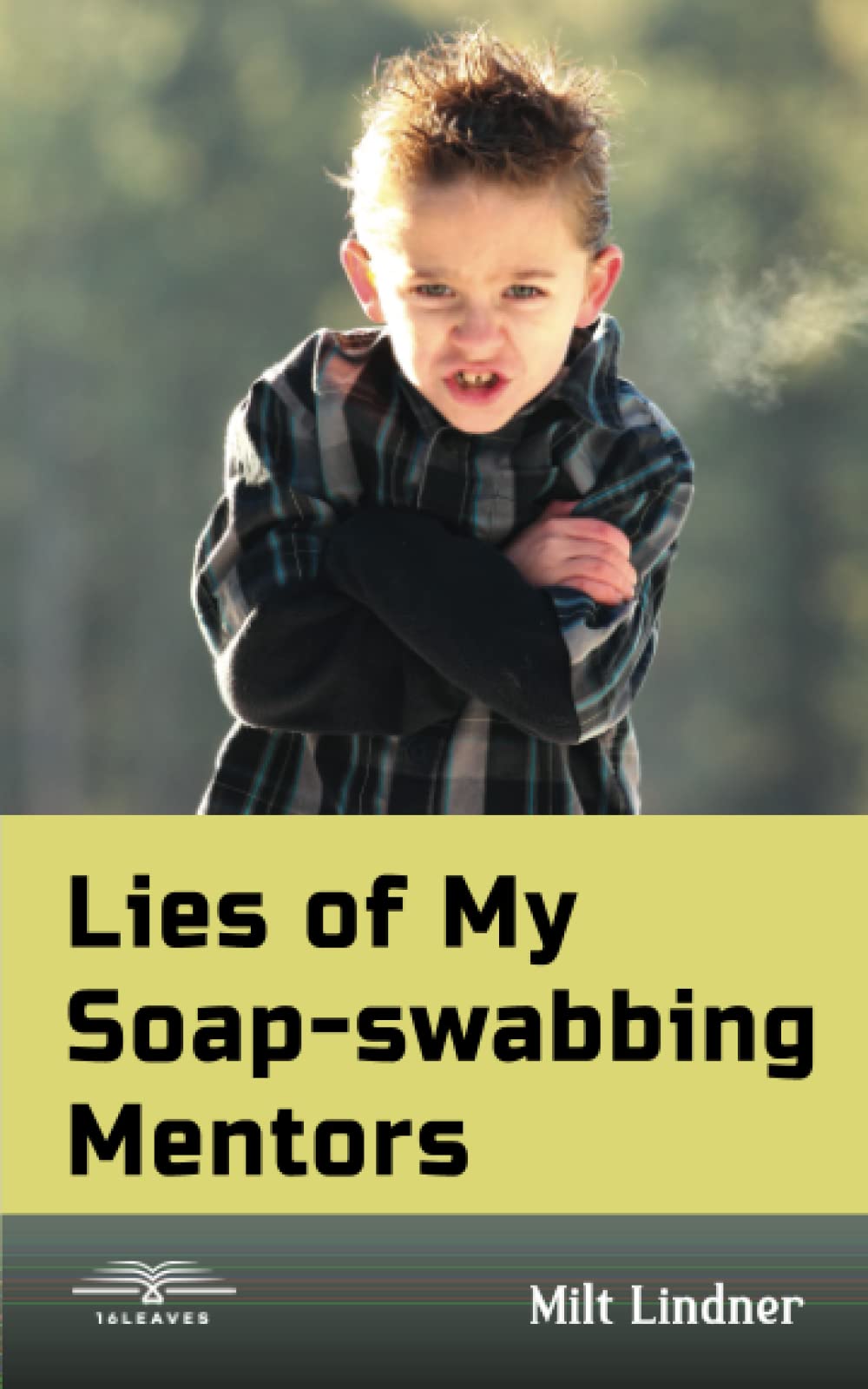 Lies of my Soap-Swabbing Mentors