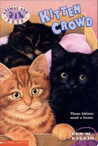 Kitten Crowd