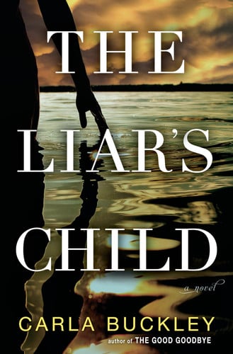 The liar's child: a novel