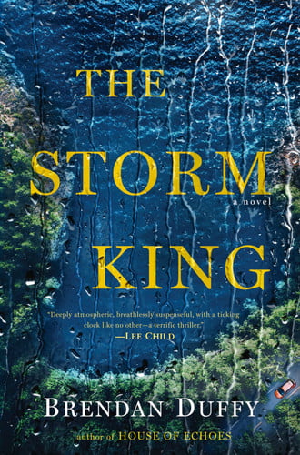 The Storm King: a novel