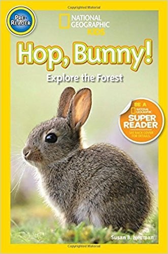 Hop, Bunny! Explore the Forest