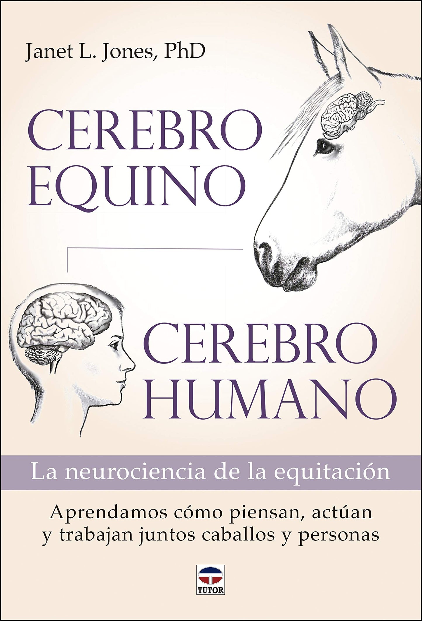 Cerebro equino, cerebro humano: La neurociencia de la equitación