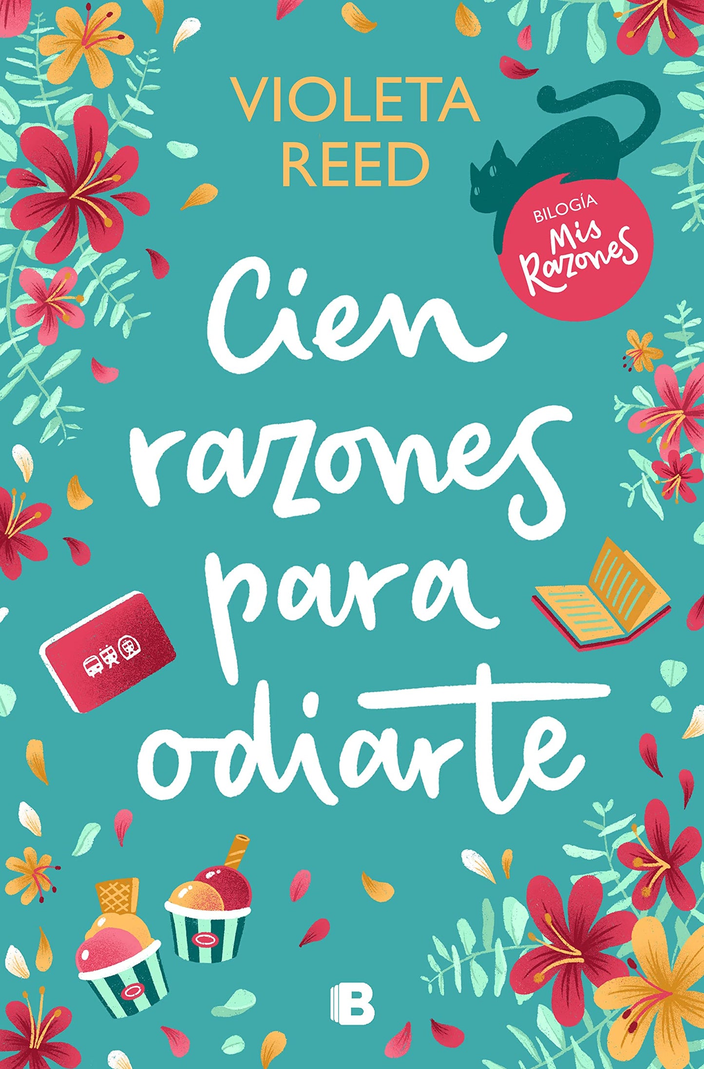 Cien razones para odiarte / A Hundred Reasons to Hate You (MIS RAZONES) (Spanish Edition)
