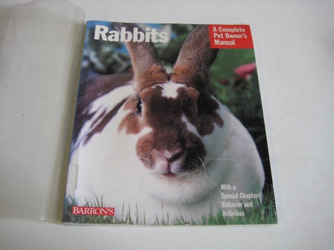 Rabbits: everything about purchase, care, nutrition, grooming, behavior, and training
