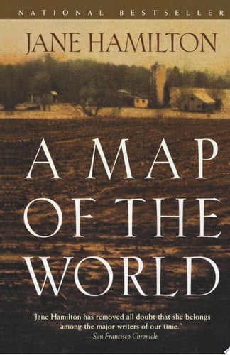 A Map of the World A Novel