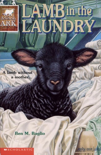Lamb in the Laundry