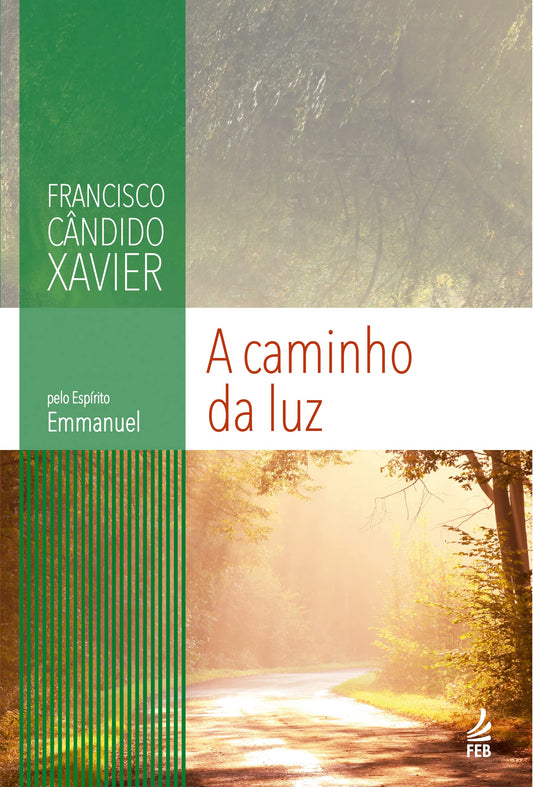 A Caminho da Luz (Portuguese Edition)